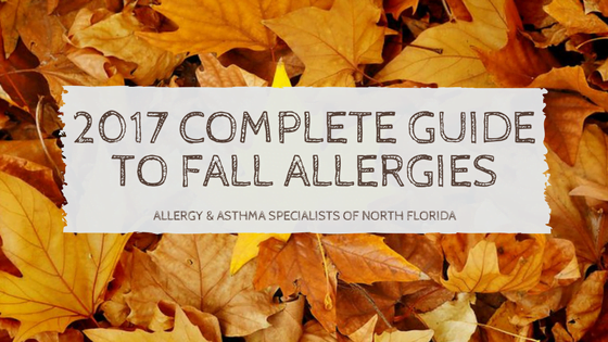 Fall allergies jacksonville fl
