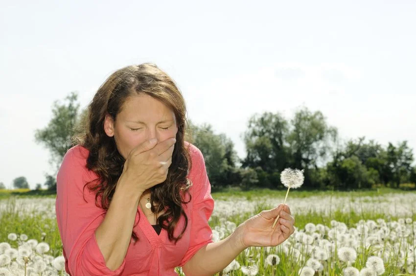 9585184_m jacksonville allergy specialists tips to handle pollen allergy