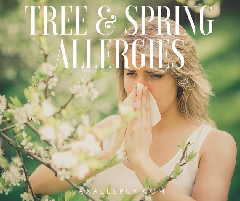 2019 Tree Pollen & Spring Allergies in Florida: Everything You Need to Know
