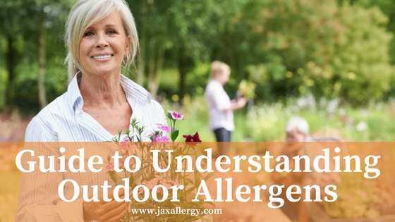 understanding outdoor allergens in jacksonville