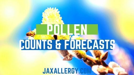 understanding jacksonville pollen counts forecasts