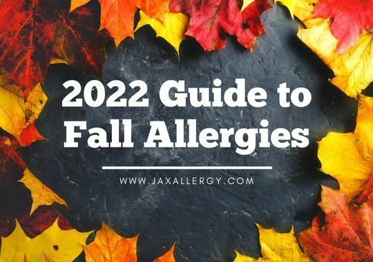 fall allergies guide for Jacksonville 2022
