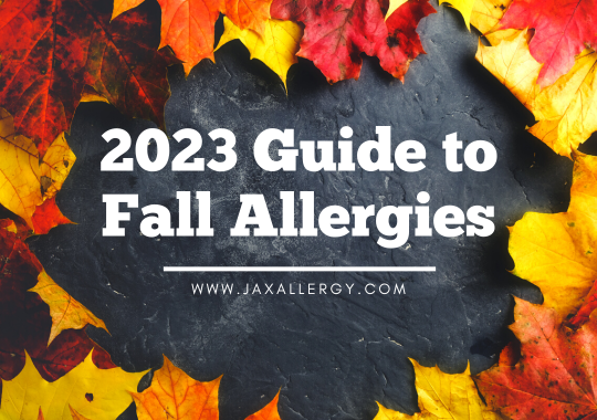 fall allergies guide for Jacksonville 2023 fall allergies guide for Jacksonville 2023